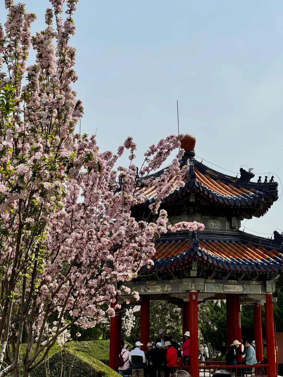 Beijing 01a_Peking_BestOf - 18 of 52.jpeg